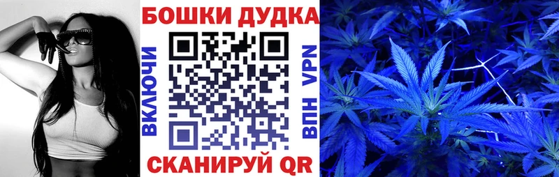 Каннабис план  Купить закладки  Михайловск 